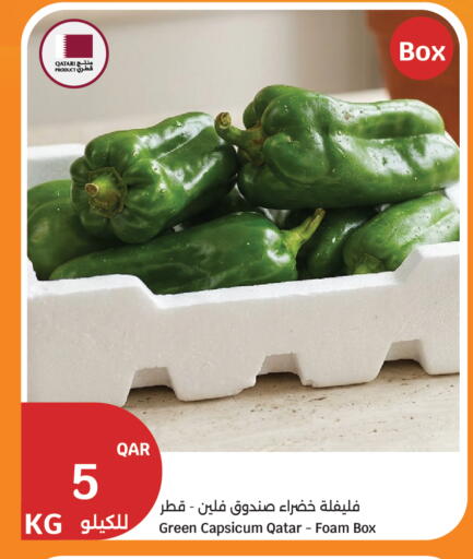 Green Capsicum from Qatar available at City Hypermarket in Qatar - Al Shamal