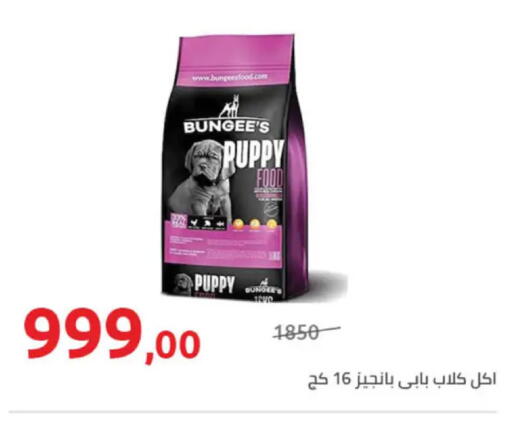 available at هايبر وان in Egypt - القاهرة