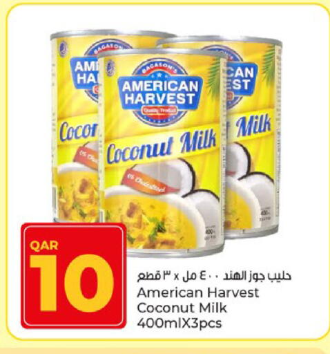 Coconut available at Paris Hypermarket in Qatar - Doha