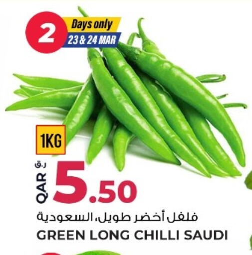 Chilli available at روابي هايبرماركت in قطر - الدوحة