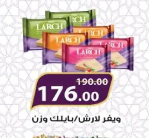 available at Galhom Market in Egypt - Cairo