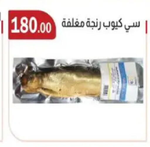 available at ابا ماركت in Egypt - القاهرة