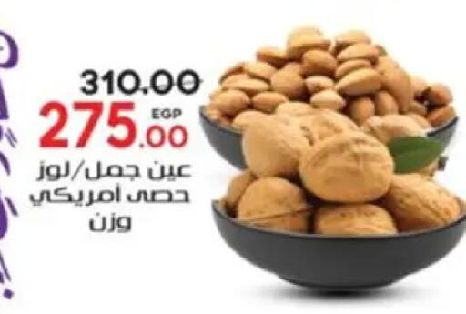 available at Galhom Market in Egypt - Cairo