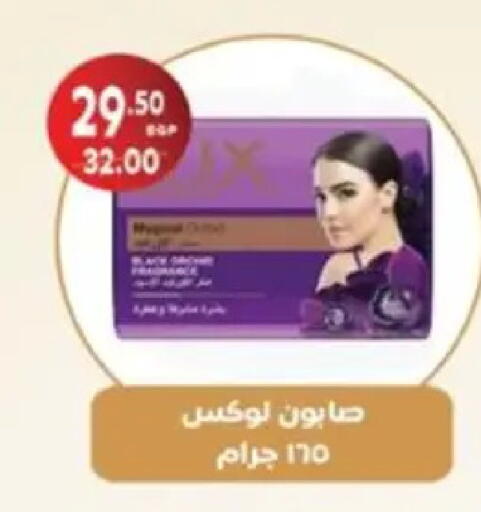 available at Galhom Market in Egypt - Cairo