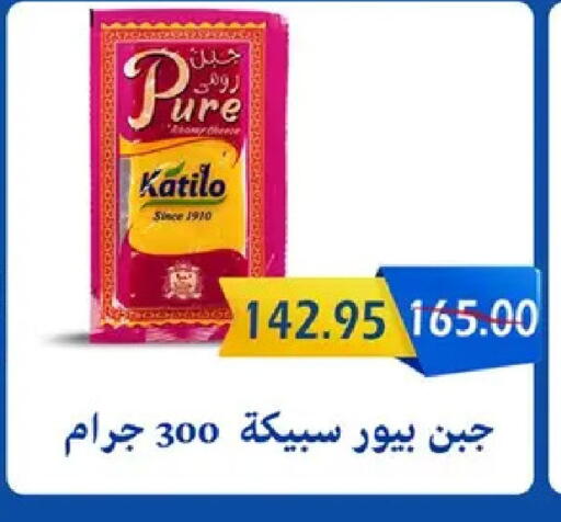 available at Bashayer hypermarket in Egypt - Cairo