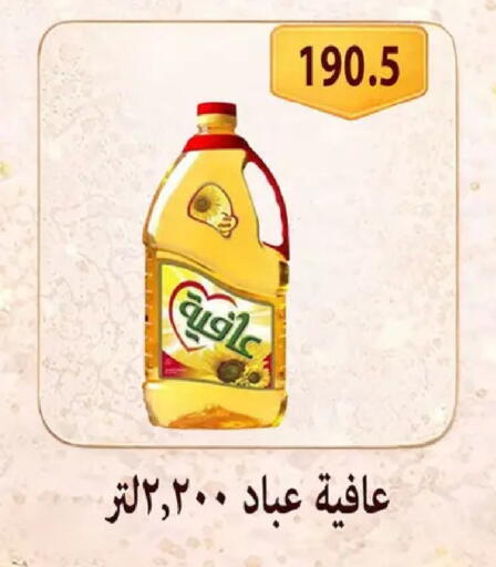 available at Hyper Samy Salama Sons in Egypt - Cairo