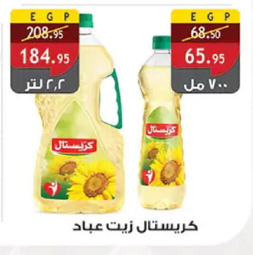 available at الرايه  ماركت in Egypt - القاهرة