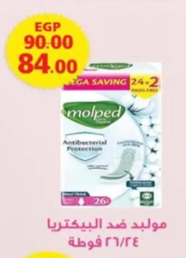 available at Galhom Market in Egypt - Cairo