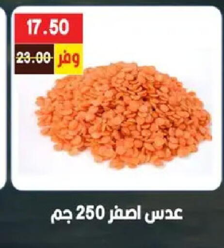 available at بشاير هايبرماركت in Egypt - القاهرة