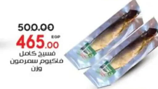 available at Galhom Market in Egypt - Cairo