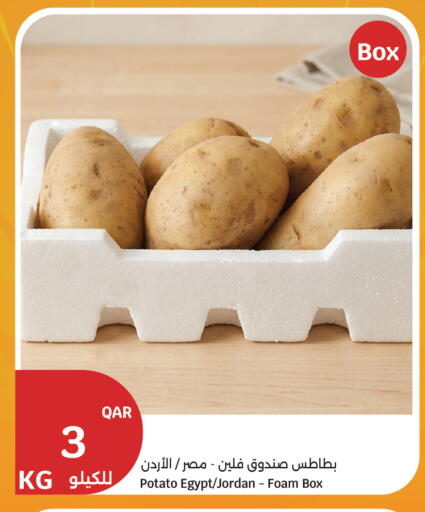 Potato from Egypt Jordan available at City Hypermarket in Qatar - Al Shamal