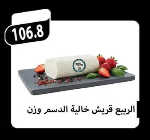 available at Hyper Samy Salama Sons in Egypt - Cairo