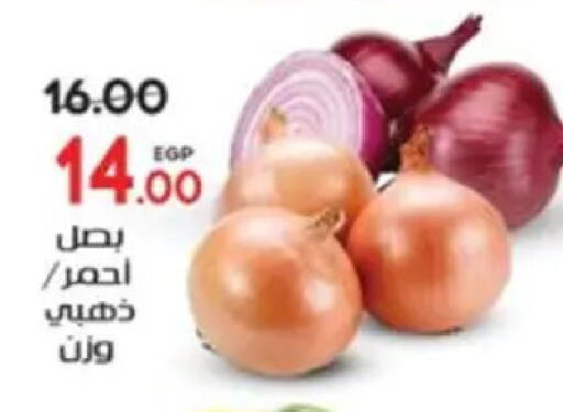 available at Galhom Market in Egypt - Cairo