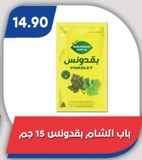 Parsley available at Bassem Market in Egypt - Cairo