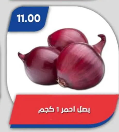 available at باسم ماركت in Egypt - القاهرة