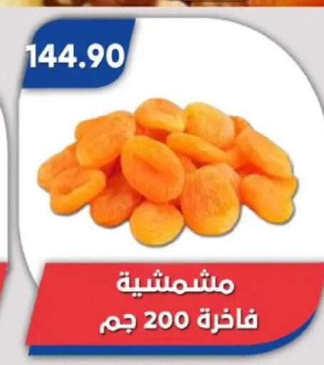 available at Bassem Market in Egypt - Cairo