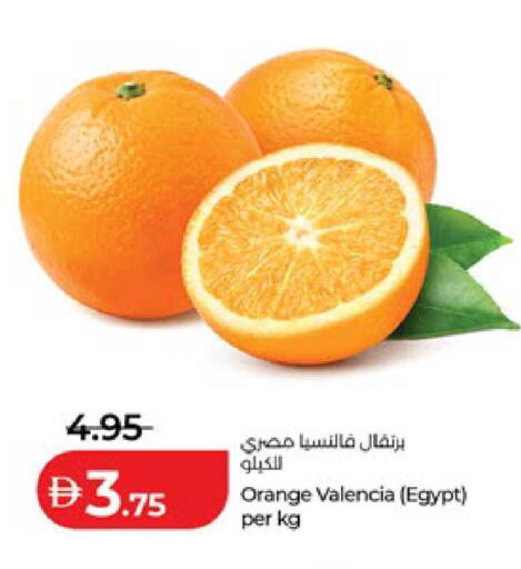 Orange from Egypt available at لولو هايبرماركت in الإمارات العربية المتحدة , الامارات - أبو ظبي