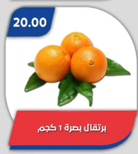 available at باسم ماركت in Egypt - القاهرة