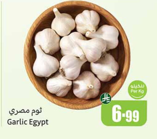 Garlic from Egypt available at Othaim Markets in KSA, Saudi Arabia, Saudi - Dammam
