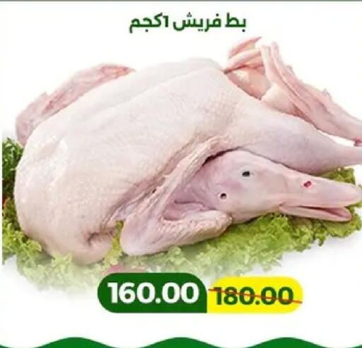 available at Green Tree Hypermarket - Sohag in Egypt - Cairo