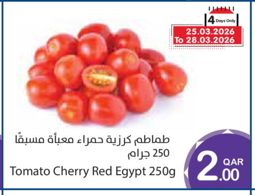 Cherry Tomato from Egypt available at ميغا مارت in قطر - الوكرة