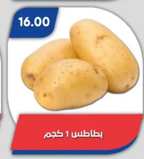 available at باسم ماركت in Egypt - القاهرة