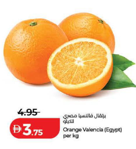 Orange from Egypt available at لولو هايبرماركت in الإمارات العربية المتحدة , الامارات - دبي