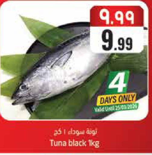 available at ستي فلاور in مملكة العربية السعودية, السعودية, سعودية - سكاكا