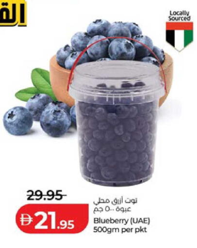 Blueberry BlueBerry available at لولو هايبرماركت in الإمارات العربية المتحدة , الامارات - أبو ظبي