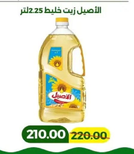 available at جرين تري هايبرماركت - سوهاج in Egypt - القاهرة