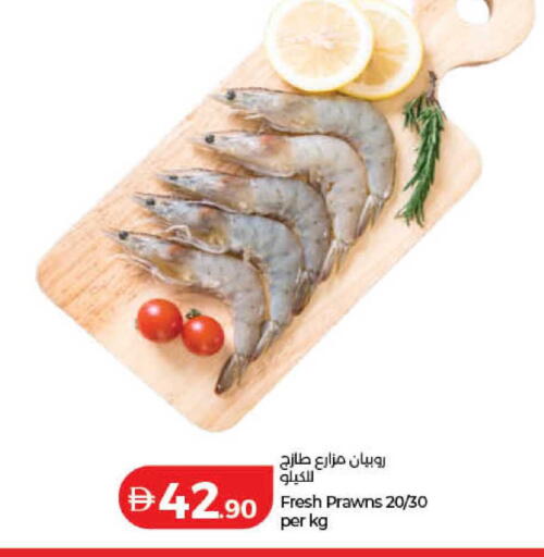 available at لولو هايبرماركت in الإمارات العربية المتحدة , الامارات - دبي