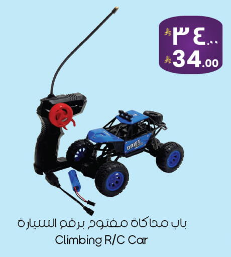 available at City Flower in KSA, Saudi Arabia, Saudi - Yanbu