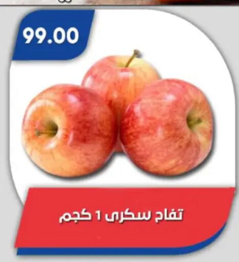 available at باسم ماركت in Egypt - القاهرة