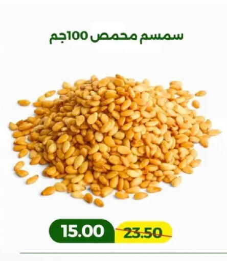 available at Green Tree Hypermarket - Sohag in Egypt - Cairo