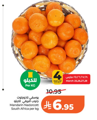 Mandarin from South Africa available at LULU Hypermarket in KSA, Saudi Arabia, Saudi - Riyadh