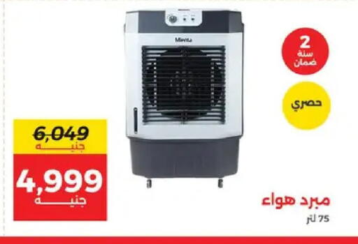 available at Raneen in Egypt - Cairo