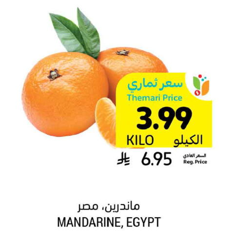 from Egypt available at أسواق التميمي in مملكة العربية السعودية, السعودية, سعودية - الخبر‎