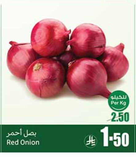 Onion available at Othaim Markets in KSA, Saudi Arabia, Saudi - Sakaka