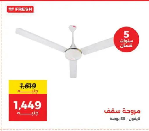 available at Raneen in Egypt - Cairo