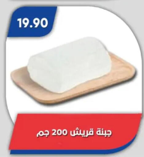 available at Bassem Market in Egypt - Cairo