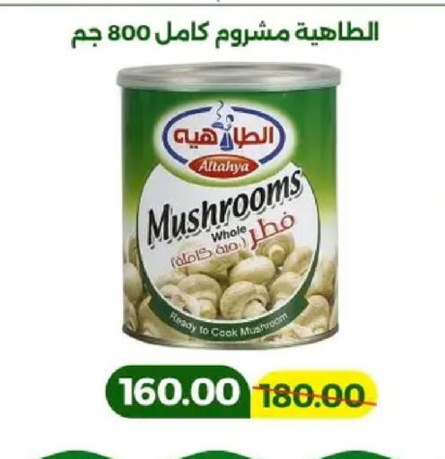 Mushroom available at Green Tree Hypermarket - Sohag in Egypt - Cairo