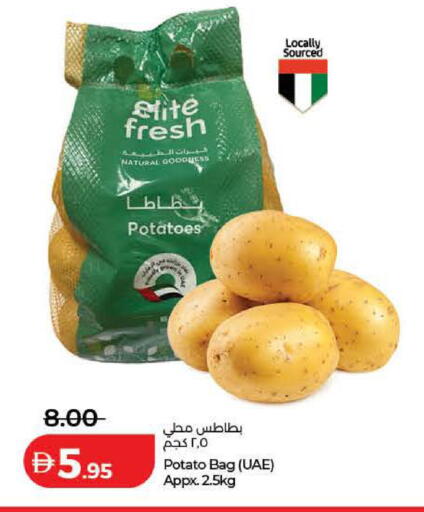 Potato available at لولو هايبرماركت in الإمارات العربية المتحدة , الامارات - دبي