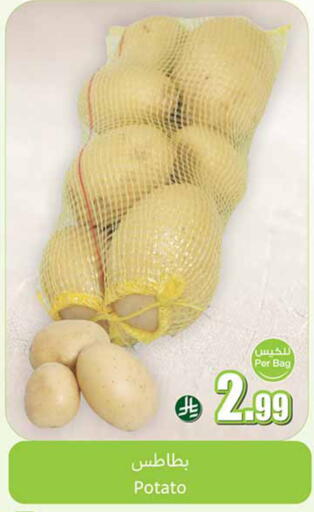 Potato available at Othaim Markets in KSA, Saudi Arabia, Saudi - Sakaka