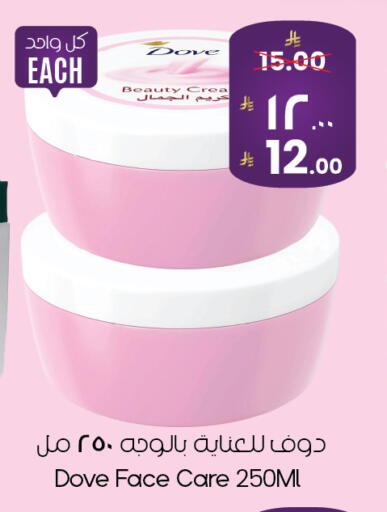 available at City Flower in KSA, Saudi Arabia, Saudi - Yanbu