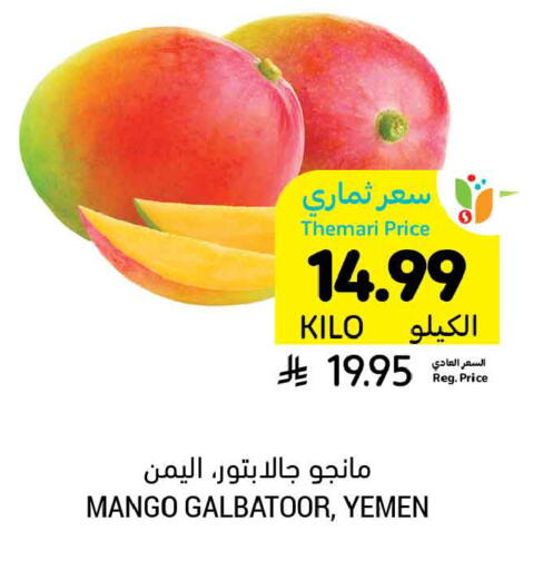 Mango from Yemen available at أسواق التميمي in مملكة العربية السعودية, السعودية, سعودية - الخبر‎