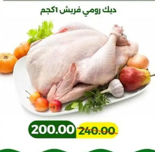 available at جرين تري هايبرماركت - سوهاج in Egypt - القاهرة