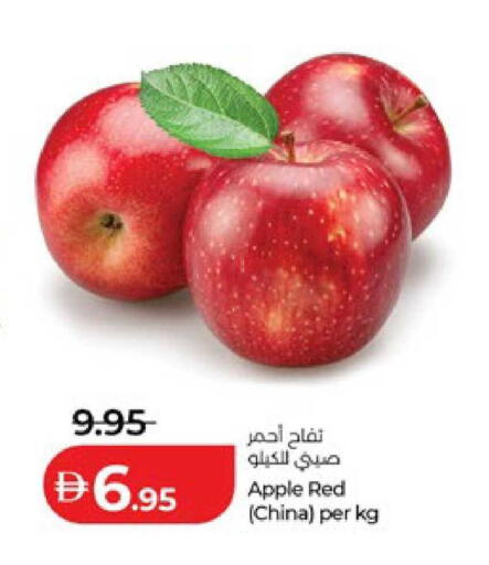 Apple from China available at لولو هايبرماركت in الإمارات العربية المتحدة , الامارات - أبو ظبي
