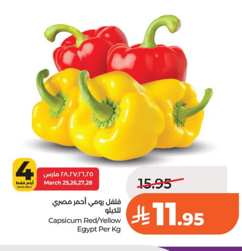 Capsicum from Egypt available at LULU Hypermarket in KSA, Saudi Arabia, Saudi - Al Khobar