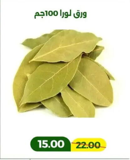 available at جرين تري هايبرماركت - سوهاج in Egypt - القاهرة