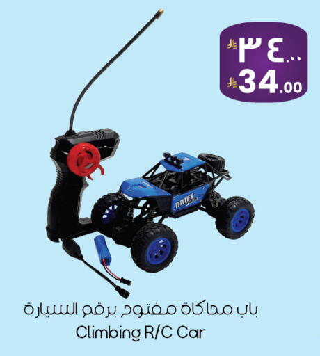 available at City Flower in KSA, Saudi Arabia, Saudi - Al Hasa
